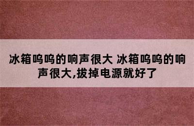 冰箱呜呜的响声很大 冰箱呜呜的响声很大,拔掉电源就好了